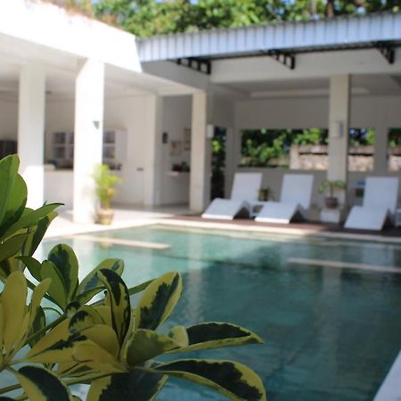 Villa Putih Lovina Exterior photo