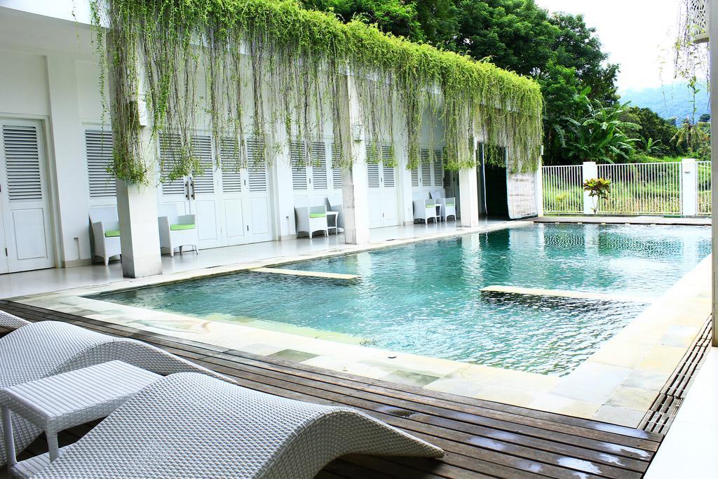 Villa Putih Lovina Exterior photo